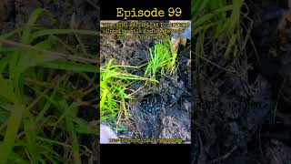 "SHOCKING WATER LEAK DISCOVERY! Unbelievable Ending Reveals SurprisingCulprit!" #fypシ゚viral # diy