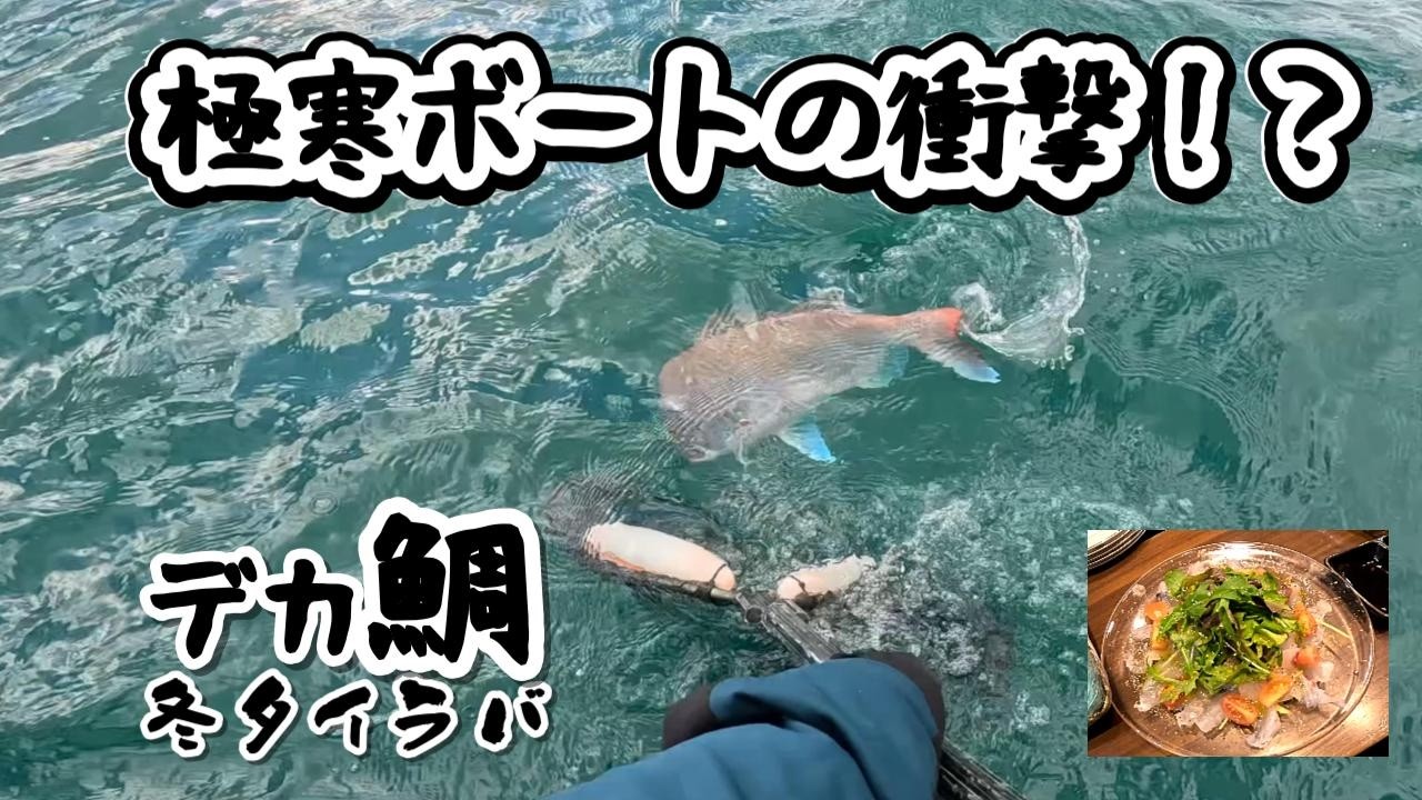真冬の極寒ボート釣り！タイラバで衝撃のデカ鯛キャッチ！