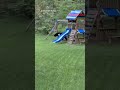 Bear walks through backyard in Lancaster, Massachusetts