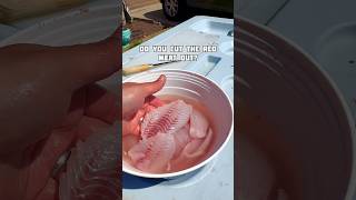 Do you cut the red out of your White Bass? We don’t! Here is our method of cooking it! #fishing