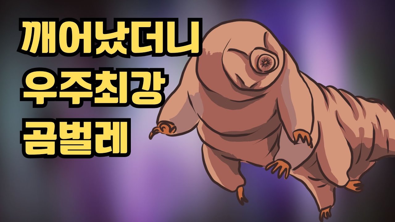 깨어났더니 우주최강 완보동물 곰벌레로 변해있었다.