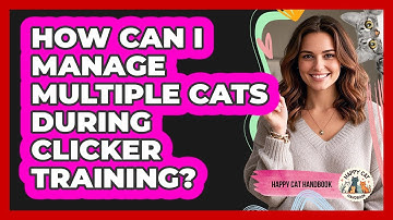 How Can I Manage Multiple Cats During Clicker Training? - Happy Cat Handbook