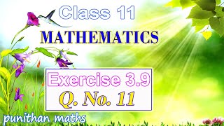 Ex 3.9-11 Class 11 Mathematics