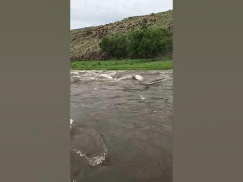 Хануй рашаан - YouTube