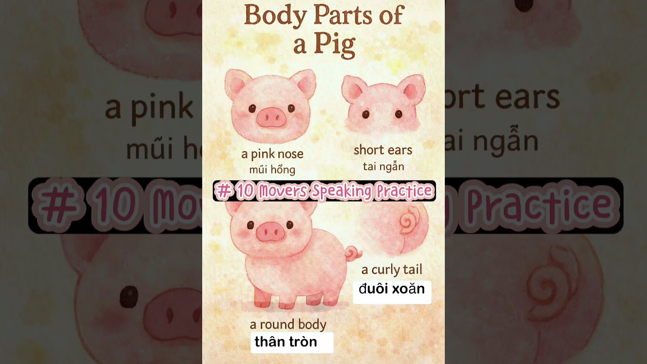 #10 Describe a Pig 🐖 | Movers Speaking Practice