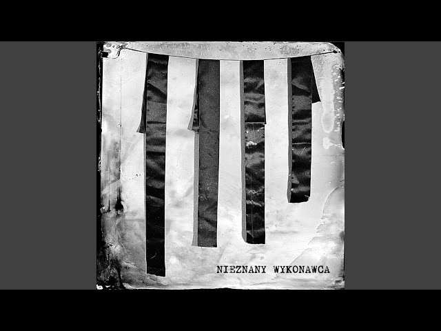 NIEZNANY WYKONAWCA - W SIECI