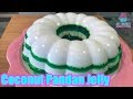 Coconut Pandan Jelly - mysweetambitions