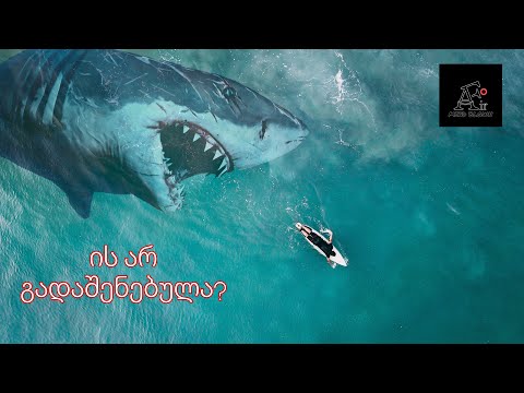 რა მოხდებოდა თუ ზვიგენი MEGALODON ჯერ კიდევ იარსებებდა?