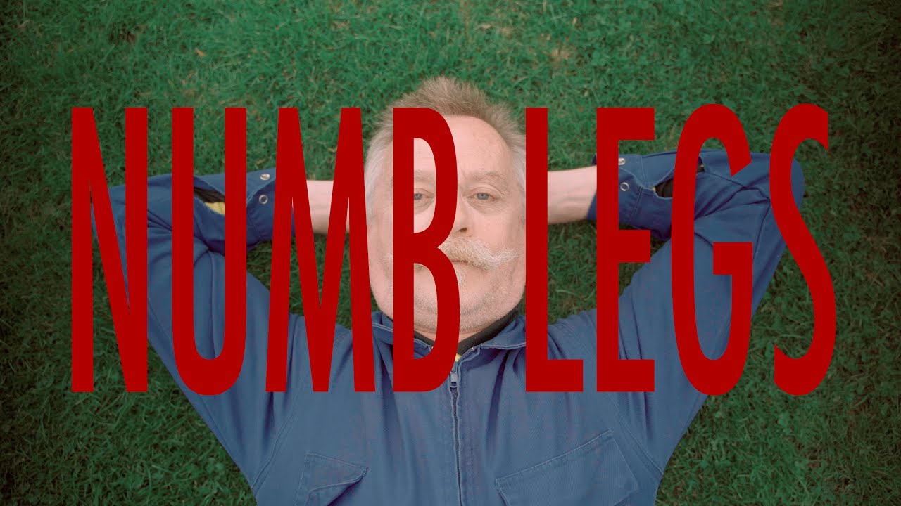 WILD FOX - NUMB LEGS