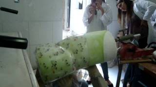 Produção De Colete De Milwaukee Com Ilustração.