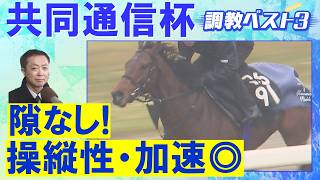 「文句なしの調教過程」ロブチェン、ラヴェニュー、リアライズシリウス・・・競馬エイト・高橋賢司トラックマンの調教解説＜共同通信杯(ＧⅢ)＞