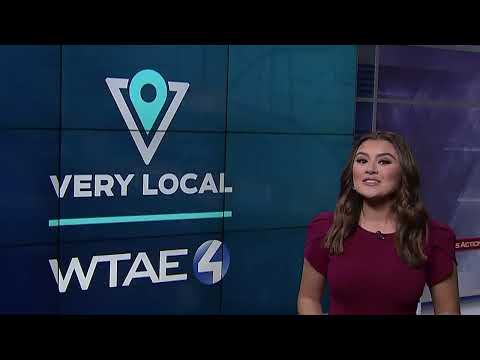 VL Sizzle Reel 2024 — Selected work