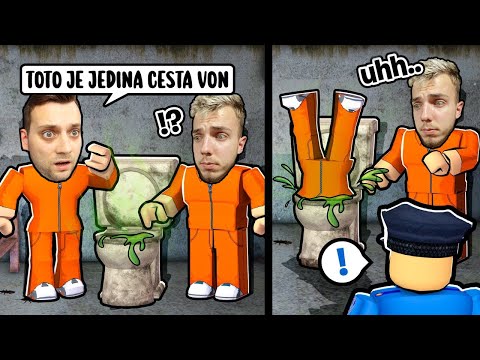 Video: Môžete odstrániť torzné tyče?