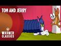 Tom and Jerry | Mega Compilation | Vol. 15 | Quackers and Friends | Warner Classics