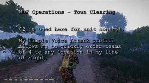 ArmA 3 - C2 + Voice Attack - SP Profile