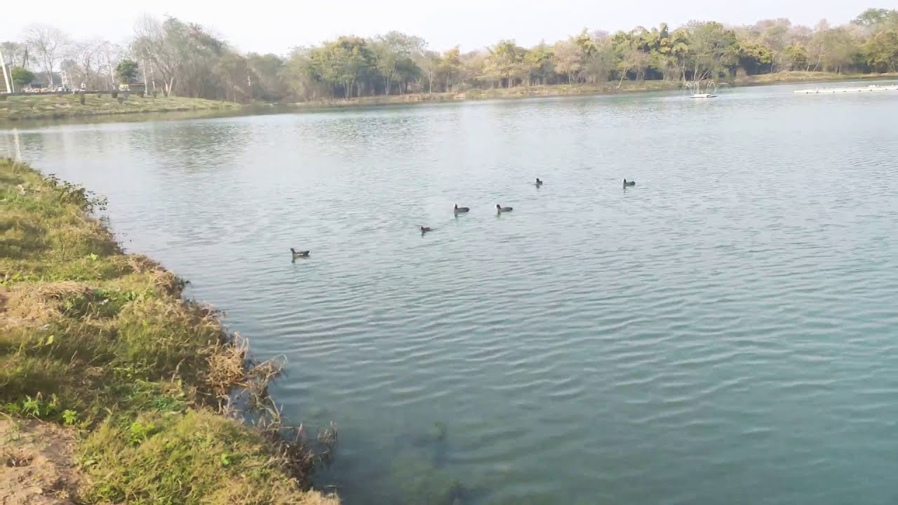 Dhanas Lake Chandigarh YouTube