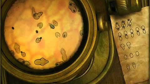 Elixir of Immortality   Pollen Minigame