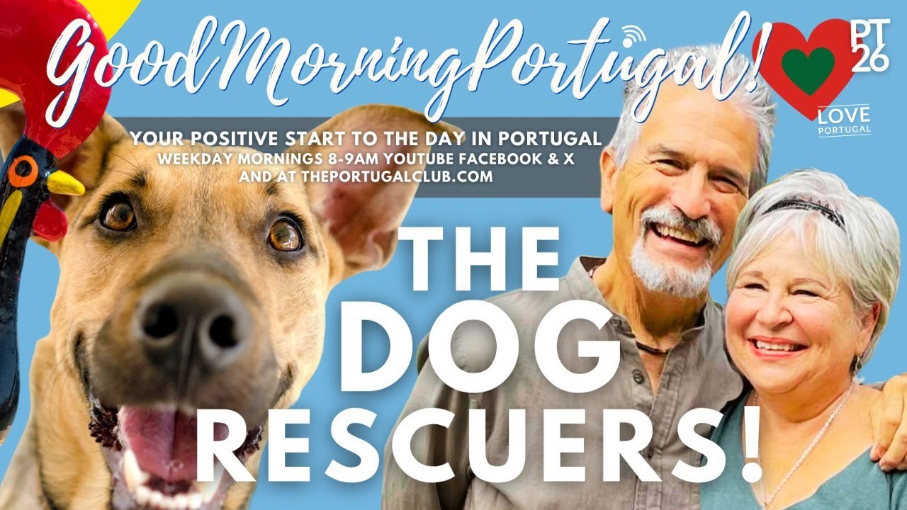 The Dog Rescuers Bob & Viv on Good Morning Portugal!
