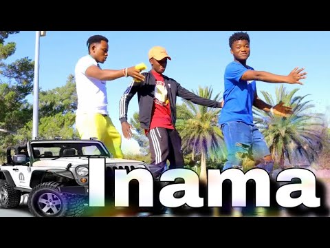 Diamond Platnumz Ft Fally Ipupa Inama (Official Dance Video)