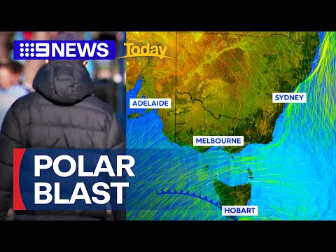 Polar blast hits Sydney 