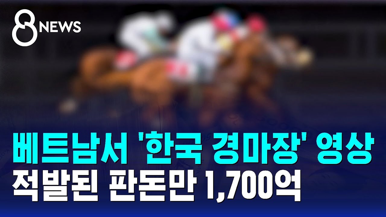 베트남서 '한국 경마장' 영상…적발된 판돈만 1,700억 / SBS 8뉴스