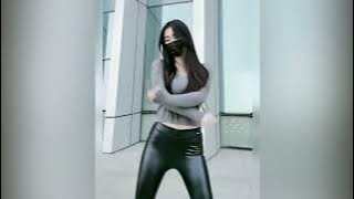 shiny asians liquid leggings