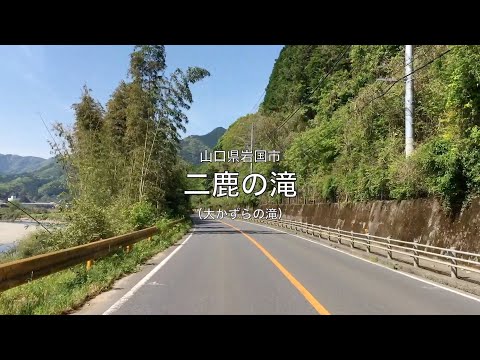 【山口県・岩国市】二鹿の滝 / 大かずらの滝 2025.05 approach