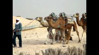 Vanessa Mae - Theme from caravans