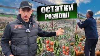 :    Ĳ! , !     