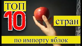 ЯБЛОКИ: ТОП 10 стран по импорту яблок (1961–2023)