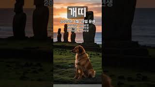 [2025년 4월 29일 개띠 오늘의운세] 고비를 넘긴 후에 모처럼의 여유를 느낄 수 있겠다. #개띠 #운세…