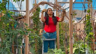 DIY Secret Garden Arch Weaving a Fairy Tale Grapevine Trellis No Waste DIY