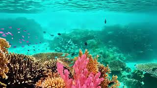 Free Stock Videos - Luma Dream Machine - underwater world bathed in soft light screenshot 5