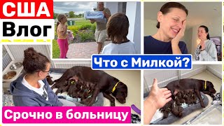 США Влог Мике плохо! Срочно в госпиталь! Что с Милкой Семейный Влог Big big family in the USA