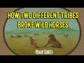 How Native Americans Broke Wild Horses