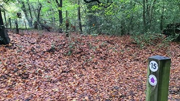 Harrow Weald Geological SSSI