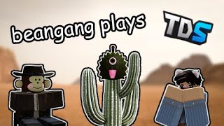 beangang plays tds