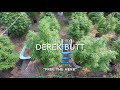 Home Grow S1|E10. What To Do With Your Roaches.