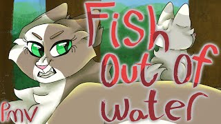 Fish Out Of Water | Warrior Cats OC PMV | A Rebranded Spark