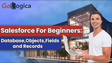 How to Create Database,Objects,Fields and Records in Salesforce |GoLogica