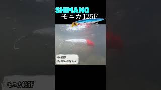 大人気ルアー3種類スイム比較!#釣り #シマノ #モニカ125F #カゲロウ124F #アイザー125F #shimano #shorts