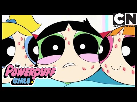 Супер Свинки | Суперкрошки | Cartoon Network