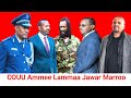 ODUU Ammee Lammaa Magarsaa Fi Jaal Marroo Jawar Mariitii Makaman ODUU Ammee Lammaa Magarsaa Fi Jaal Marroo Jawar Mariitii Makaman