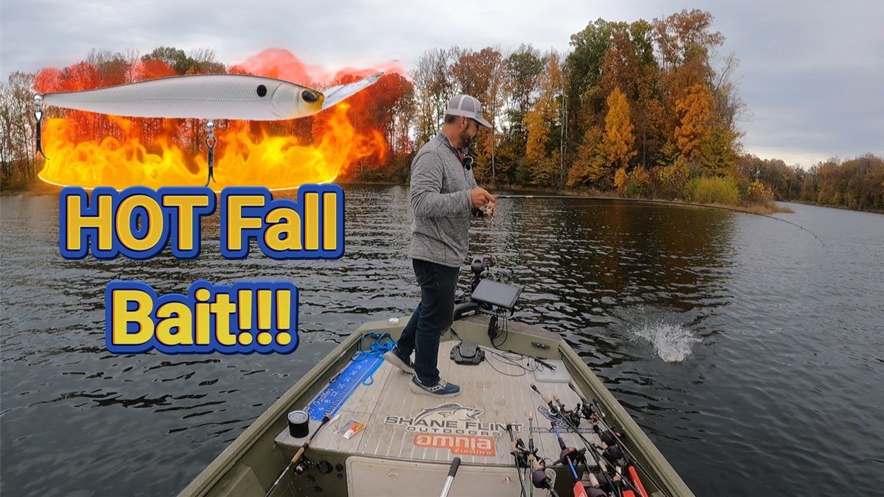 Classic to Cutting-Edge: November Bass Catching Techniques!”