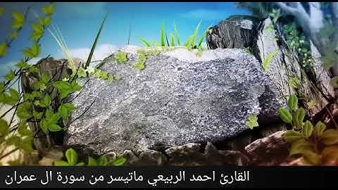 القارئ احمد الربيعي ماتيسر من سورة ال عمران