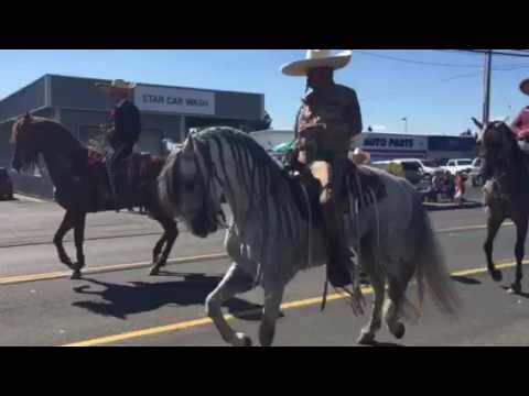 Video: Cât de mare este Stayton Oregon?