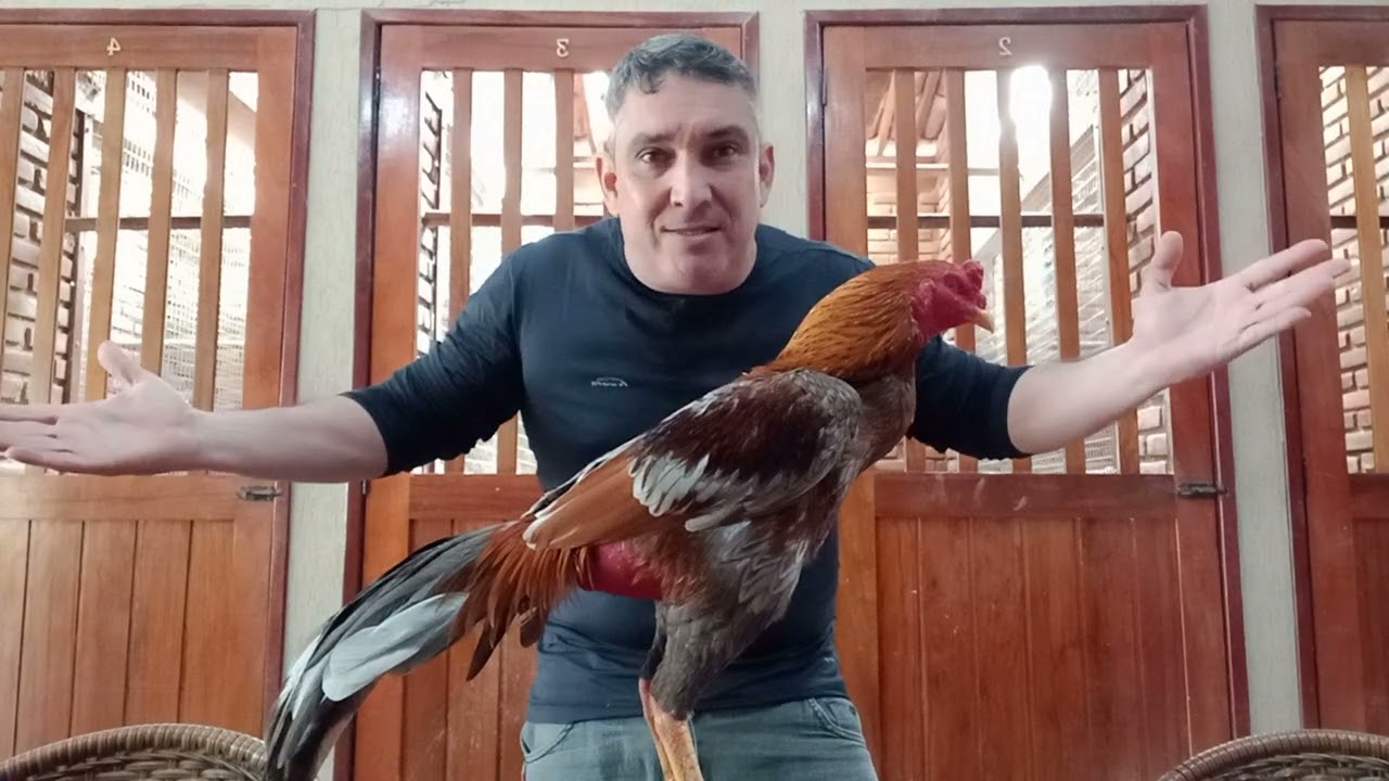 Genética e Linhagem.