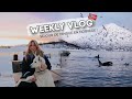 JE VIS UN RÊVE EN NORVÈGE ! WEEKLY VLOG #16