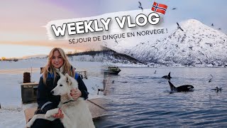 JE VIS UN RÊVE EN NORVÈGE ! WEEKLY VLOG #16
