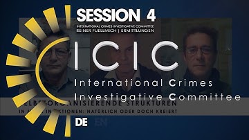 ICIC | SITZUNG 4 - 2022-12-04 - Nanotechnologie - Selbstorganisierende Strukturen in mRNA Injektion